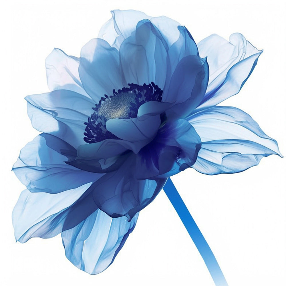 Watercolor Blue Windflower Paint by Numbers