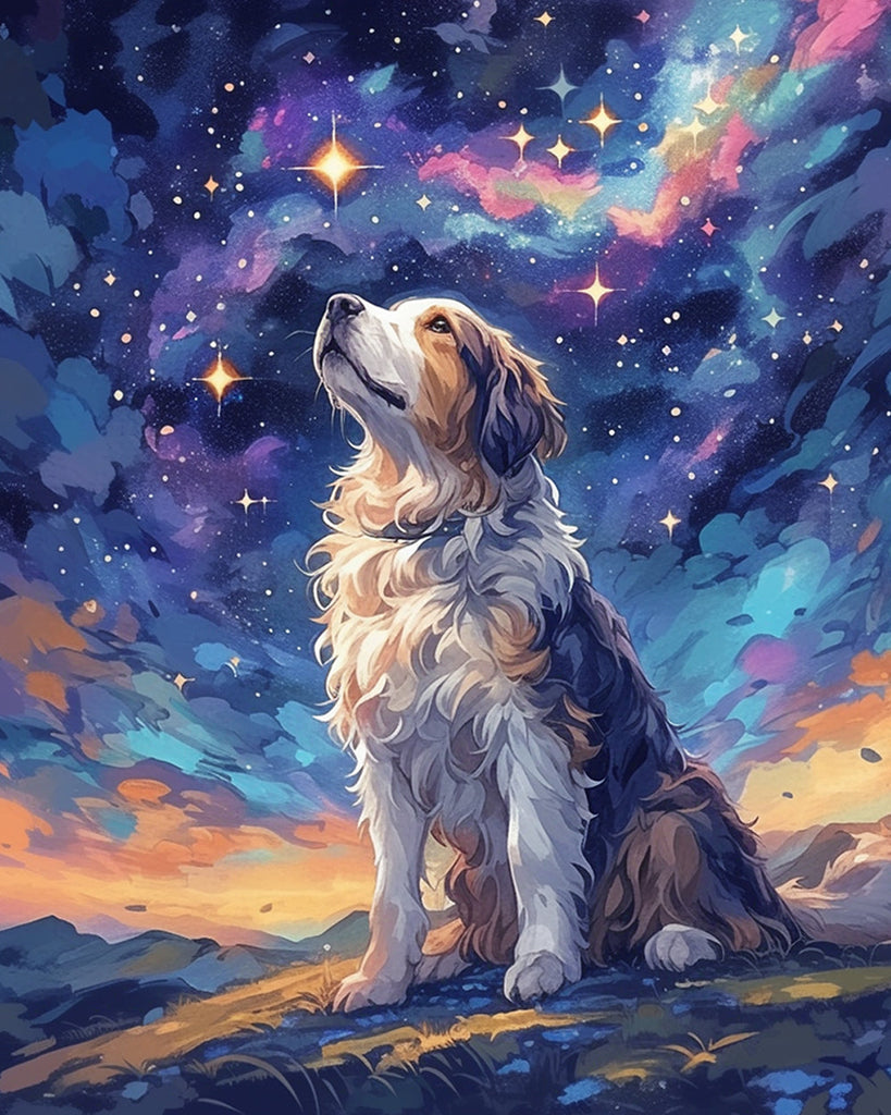 Dog Looking up at the Stars Paint by Numbers