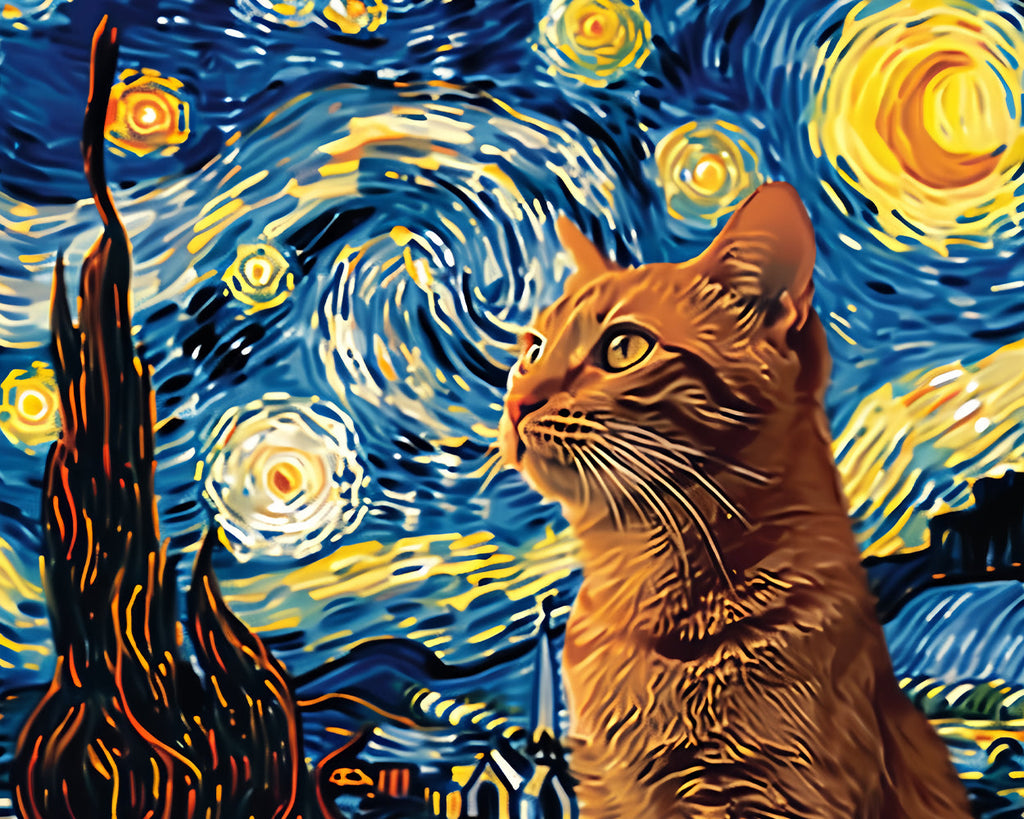 Starry Sky and Cat Paint by Numbers