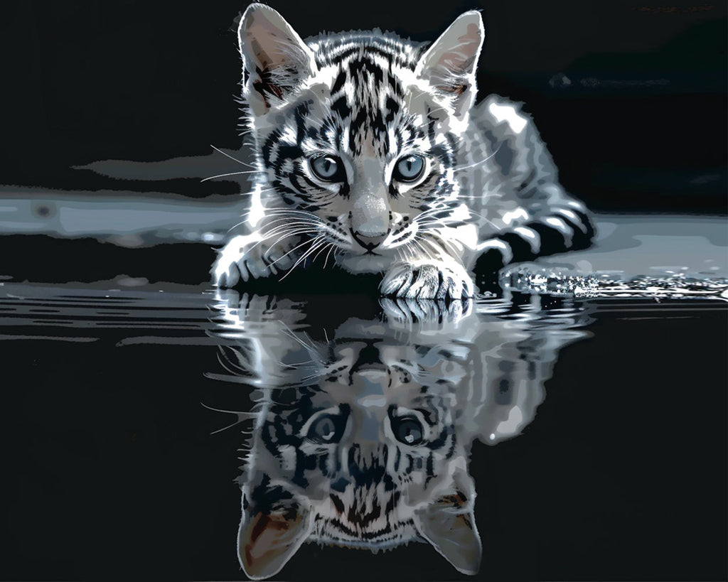 Kitten and Water Reflection Paint by Numbers