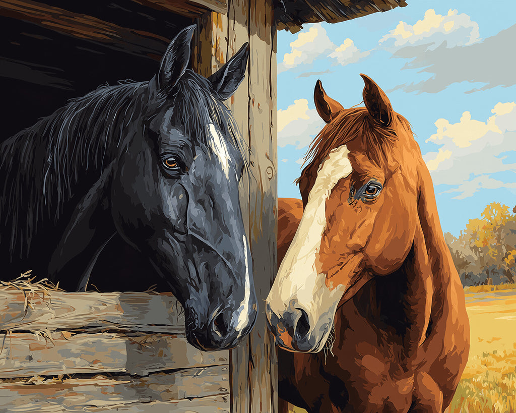 Black and Brown Horses Paint by Numbers