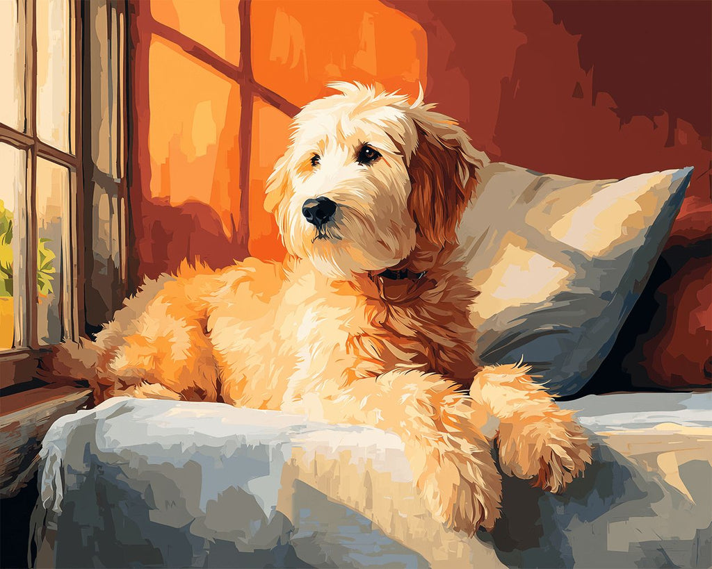 Labradoodle Looking out the Window Paint by Numbers