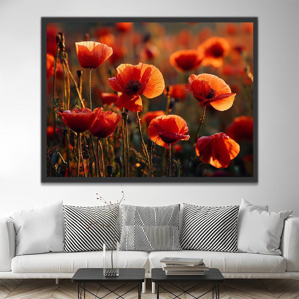Red Poppies at Dusk Paint by Numbers